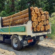 荷台が低重心のため、木材積載時の安定走行が可能