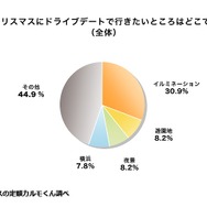 クリスマスにドライブデートで行きたいところはどこですか？（Z世代）