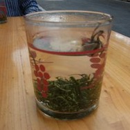 杭州　日本茶の原点を見に行く　（8）　杭州　径山茶