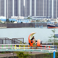 今井児童交通公園のレインボーサイクルからは旧江戸川も眺められる。向こう岸は千葉県市川市