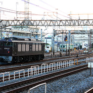 JR新金貨物線（総武線支線）、金町駅