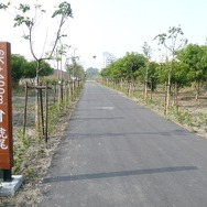 車内アナウンスでは台湾で自転車ブームが訪れていることも紹介。自転車道の整備が各地で進められているという。写真は斗南～虎尾間の鉄道廃線跡地に整備された自転車道（2014年2月撮影）。