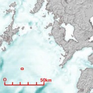 沈没船影が多数認められた海域（赤枠の海底に24隻の船影）