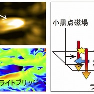 左上：シミュレーションデータの解析結果　左下：シミュレーションから得られた太陽表面磁場　右：シミュレーション結果をまとめたイラスト