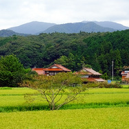 赤茶色の石州瓦の家屋が印象的