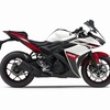 ヤマハ YZF-R25 ABS