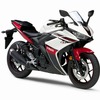 ヤマハ YZF-R25