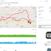走行したデータはGARMIN CONNECT上ではこのように表示される。地図はGoogleマップなので、衛星写真に切り替えることもできる。