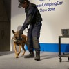 警備犬のクロア君