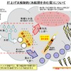 打ち上げが延期となった規定以上の氷結層を含む雲の状況（イメージ）