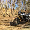 オン/オフ性能を高次元で両立したCRF1000L Africa Twin