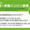 ＃全国一斉猫バンバン調査