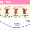 2016年の桜開花予想