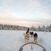 針葉樹を抜けて雪原に入ると爽快感はさらに増し、その美しさに寒さも忘れる