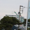 もはや何を撮っているのかわからない