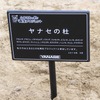 ヤナセの杜