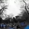 配信中の全天球動画（30日12時現在）