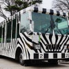 運行休止を前に、2日間限定でライオンバスの車両公開も実施された。