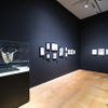 カテゴリーごとに展示方法も様々