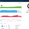 高度、ペース、そのときの心拍数、ピッチなどが一目瞭然
