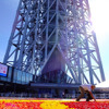東京スカイツリータウン開業4周年記念「ブリュッセル・フラワーカーペットフェスティバル Supported by アサヒビール」（5月18～22日）