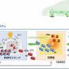 e-Bio Fuel-Cellの作動原理