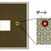 開発したMOSFETチップ（顕微鏡写真）