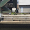 新芝運河の防災船着場