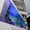 『Sony Aquarium』