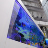 『Sony Aquarium』