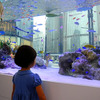 『Sony Aquarium』