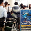 京急川崎駅に登場したケープペンギン