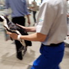 京急川崎駅に登場したケープペンギン