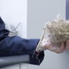 アガヴェの繊維