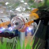 CCP、サブマリナー　カメラ
