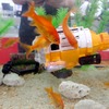 CCP、サブマリナー　カメラ
