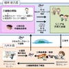 セルラードローンを活用した買い物代行サービスの実証実験の概要