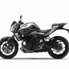 ヤマハ MT-25