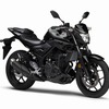 ヤマハ MT-25