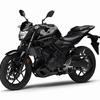 ヤマハ MT-25