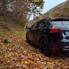 車山高原に上る道はかなり紅葉が進んでいる。