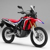 CRF250 RALLY