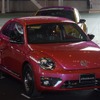 #PinkBeetle