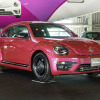 #PinkBeetle