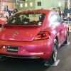 #PinkBeetle