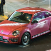 #PinkBeetle