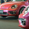 #PinkBeetle