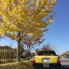 韮崎自動車教習所運転体験