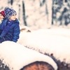 SNOW LIGHT FOREST