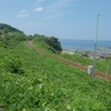 出雲を過ぎると街も人もめっきり減る。山陰本線もこのあたりは非電化のままだ。